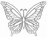 Butterfly Coloring Pages Color Drawing Rainbow Wings Butterflies Print Drawings Printable Clipart Kids Disegni Colouring Fancy Pattern Wing Disney Firefly sketch template