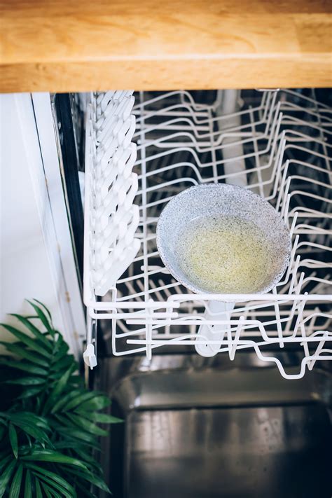 clean  dishwasher  vinegar baking soda  nest