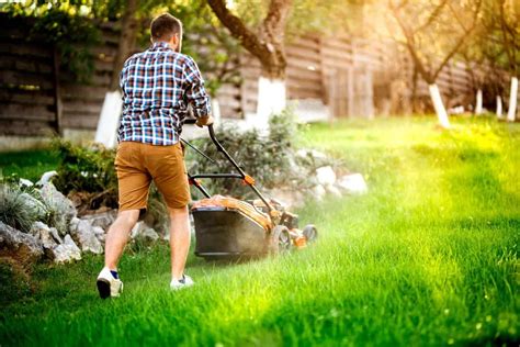 reasons   hire  professional lawn care service paradise lawns