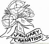 January Coloring Pages Flowers Carnation Printable Flower Online Natural Color sketch template
