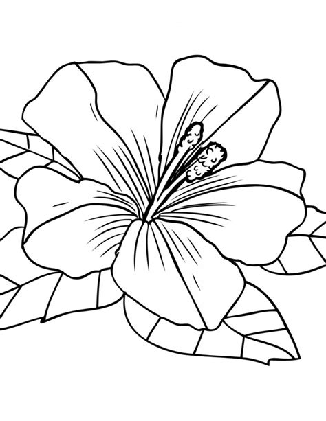 ideas  coloring cute  coloring pages