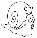 Colorat Melc Desene Planse Melcul Melci Animale Snail Trafic Mancare Educative Analytics sketch template