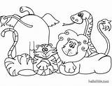 Coloring Pages Animals Grassland Popular African sketch template
