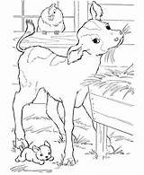 Coloring Pages Cow Barn Farm Printable Hay Adults Animals Honkingdonkey Kids sketch template