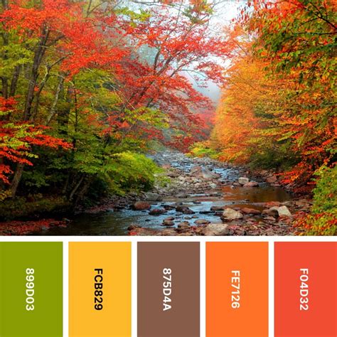 autumn colors