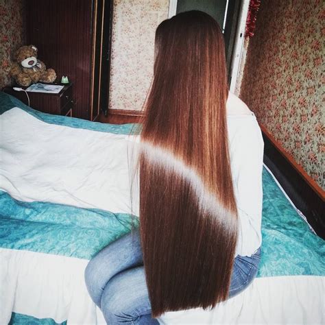 Long Silky Hair Longhair Silkyhair Brownhair Long Silky Hair Long