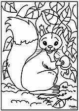 Squirrel Eekhoorn Coloring Pages Kleurplaat Kleurplaten Squirrels Animated Fun Kids Do Print Van sketch template