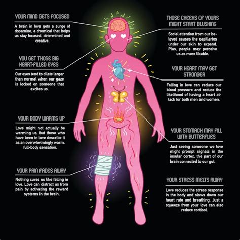 what being in love does to your whole body in one stunning infographic