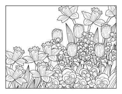 spring coloring pages  printable spring adult coloring pages