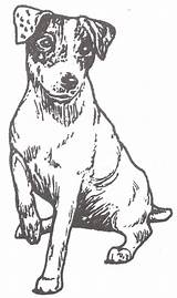 Russel Malvorlage Hund sketch template