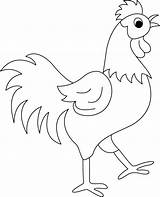 Rooster Coloring Pages Kids Drawing Printable Fighting Chicken Animals Resolution High Roosters Drawings Booster Egg Energy Funny Adults Color Cartoon sketch template