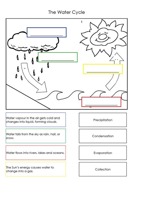 water cycle worksheet australian curriculum lessons