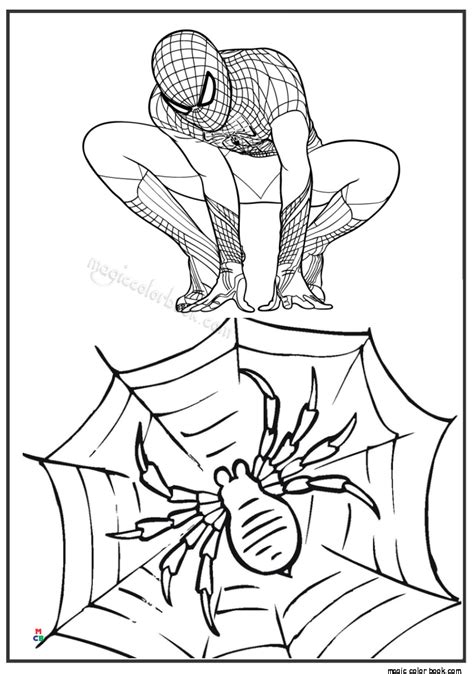 pin  ish beebe  spiderman spiderman coloring coloring books boy