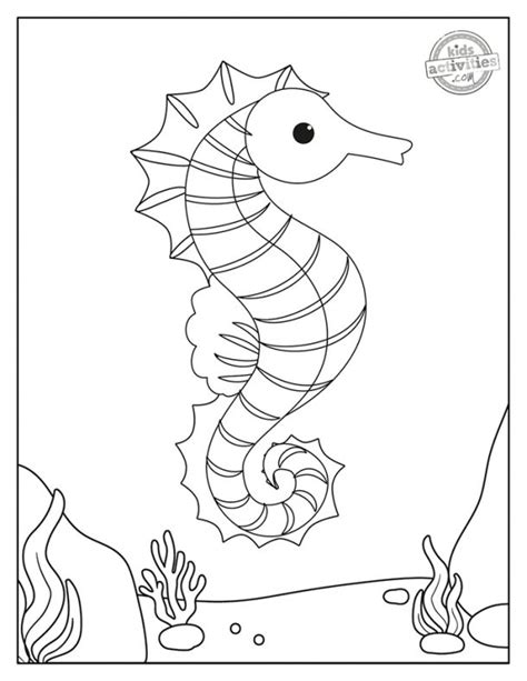 super cute  printable seahorse coloring pages kids activities blog