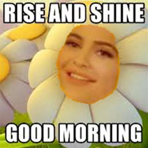 Rise And Shine Meme For Android Apk Download