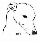 Mascotas Greyhound sketch template