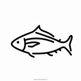 Atum Tuna Colorir Fishes Fishing Iconfinder Imprimir sketch template