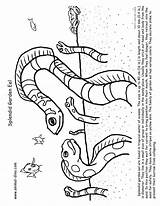 Eel Coloring Pages Moray Getcolorings Garden sketch template