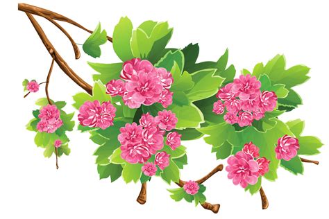 spring branch clipart   cliparts  images  clipground