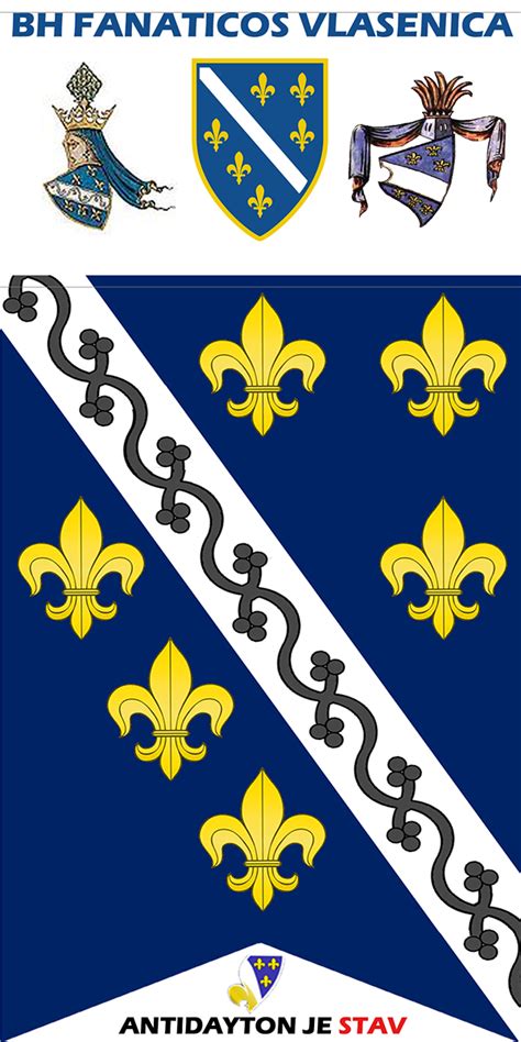 kraljevska zastava bih bosnian kingdom flag  behance