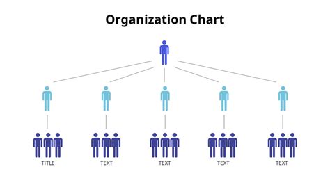 organization hierarchy chart
