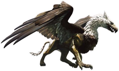 gryphon mythical creatures photo  fanpop
