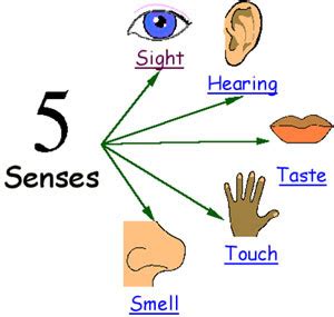 senses      sense        classroom
