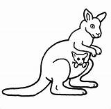 Coloring Kangaroo Pages Clipart Outline Template Colouring Printable Cliparts Clip Color Drawing Cute Kids Templates Kangaroos Print Sheet Baby Safely sketch template