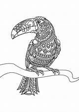 Toucan Coloriages Difficiles Oiseaux Parrot Justcolor Impressionnant Homecolor sketch template