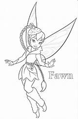 Tinkerbell Fawn Periwinkle Colorear Hadas Kleurplaten Campanita Fairies sketch template