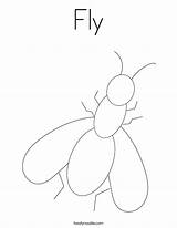 Fly Coloring Print Template Built California Usa Twistynoodle sketch template