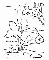 Coloring Fish Pages Pet Printables Kids Sheets Printable Drawing Color Pets Print Popular Activity Animals Honkingdonkey Help Printing sketch template
