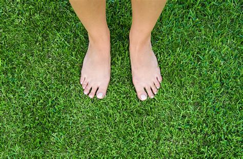 bare feet  lush green grass