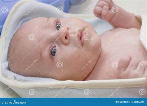 baby stock photo image  youth  human born