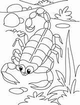 Scorpion Coloring Pages Kids Serpentine Sheets Desert Printabe Toddler Top Animals Printable Colouring Animal Bestcoloringpages Getdrawings Crafts Choose Board Activities sketch template