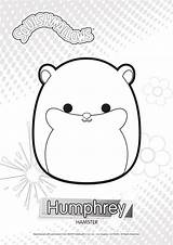 Squishmallows Squishmallow Hamster Humphrey Cuddly Sheets Xcolorings Coloringpagesonly Colorare sketch template
