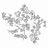 Ivy Drawing Leaf Doodle Getdrawings Leaves sketch template
