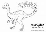 Dinosaur Coloring Oviraptor Pages Awesome Rex Sheets Flying Drawings sketch template