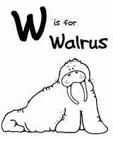 Walrus Letter Colouring Zoo Coloringme Taska Ida Ummi sketch template