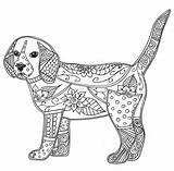 Ausmalbilder Erwachsene Hunde Mandala Zentangle Puppy Antistress Mandalas Pferde Drawn Dogs Teil Kolorowanki Zwierzeta Adults sketch template