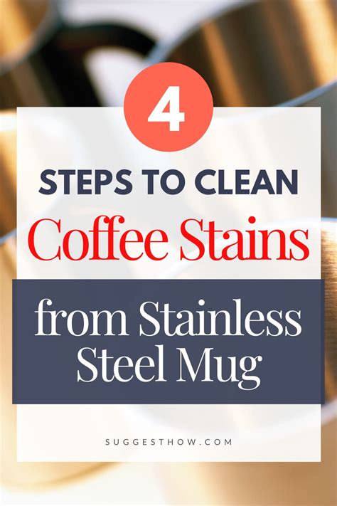 clean coffee stains  stainless steel mug easy diy