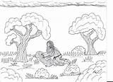 Gethsemane Jesus Coloring Pages Garden Robin Great Suffers sketch template