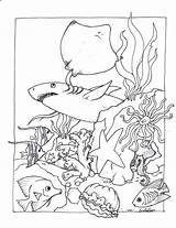 Sea Creatures Coloring Pages Getcolorings Printable Print Color sketch template