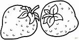 Strawberry Coloring Pages Strawberries Printable Fruit Two Color Colouring Kids Supercoloring Sweet Crafts Santa Books Print Choose Board Categories Ru sketch template