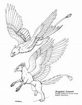 Gryphon Lineart Drawing Two Coloring Pages Griffin Drawings Griffins Fantasy Deviantart Tattoo Phoenix Dragon sketch template