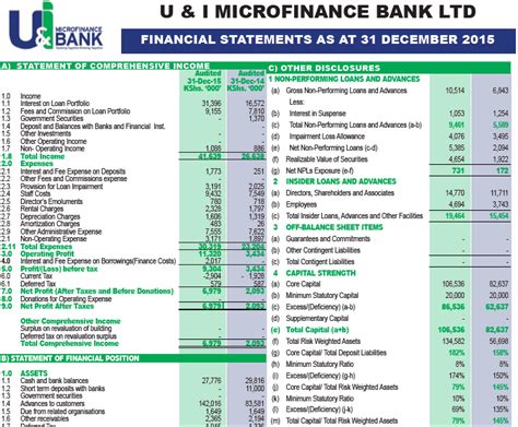 financial reports ui microfinance