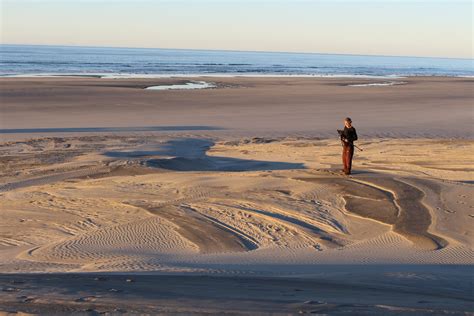 Farewell Spit Sand Dunes Environment