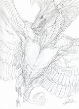 Wyvern Beastofoblivion Megapost Nunca Demonios Monstruos Dragones Vistos Antes sketch template