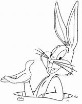 Bugs Bunny Coloring Pages Kids Looney sketch template