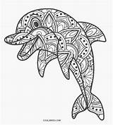 Delfin Ausmalbilder Delfino Colorare Mandala Ausdrucken Ausmalbild Malvorlagen Kostenlos Cool2bkids Disegno Seesterne Muscheln sketch template